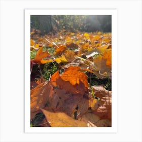 Autumn Leaves 2 Art Print