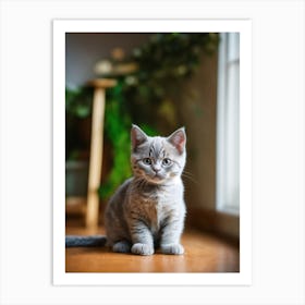 British Shorthair Kitten Art Print