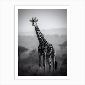 Giraffe in the Nature Art Print