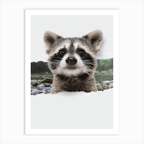 Raccoon Torn Paper Art Print
