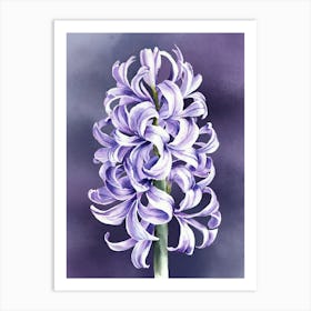 Hyacinths Art Print