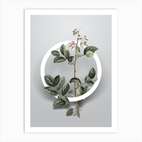 Vintage Andromeda Mariana Branch Minimalist Floral Geometric Circle on Soft Gray Art Print