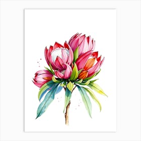 Protea Painting Art Print