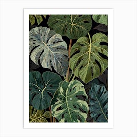 Monstera Leaves 2 Art Print