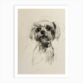 Maltese Dog Charcoal Line 1 Art Print