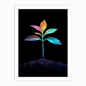 Rainbow Plant On Black Background 1 Art Print