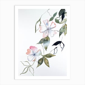 Cherry Blossom 14 Art Print