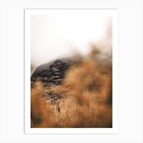 Foggy Morning In The Sonoran Desert 1 Art Print