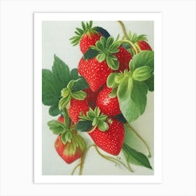 Alpine Strawberries, Plant, Crayon Art Print