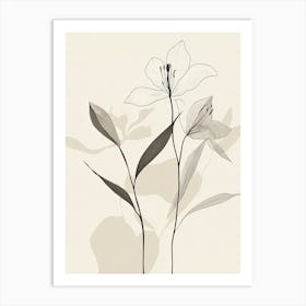 Lilies Art Print