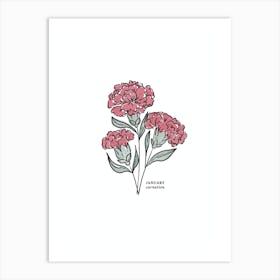 January Carnation Birth Flower 1 Art Print