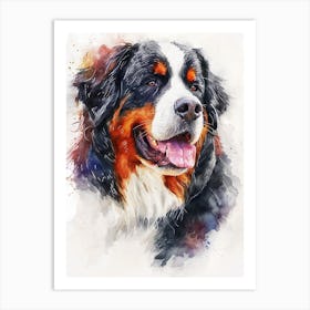 Bernese Mountain Dog Watercolor Painting 1 Art Print