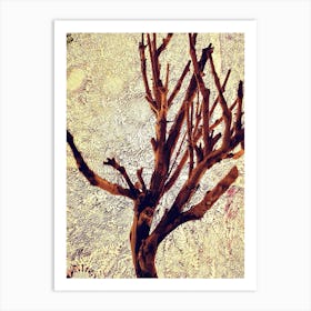 Bare Tree Art Print