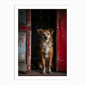 Dog In Doorway Art Print