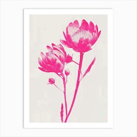 Hot Pink Protea 1 Art Print