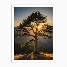 Lone Tree At Sunset 1 Art Print