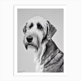 Otterhound B&W Pencil Dog Art Print