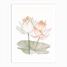 Double Lotus Pencil Illustration 6 Art Print