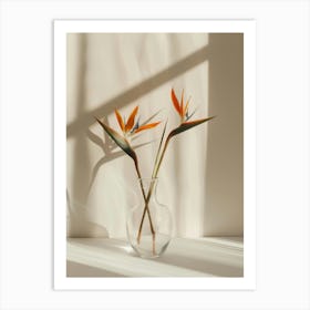 Bird Of Paradise 34 Art Print