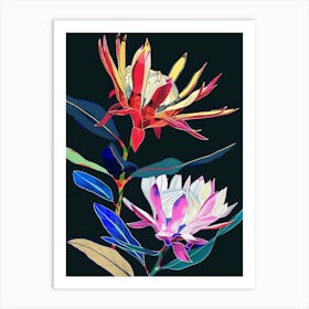 Neon Flowers On Black Protea 1 Art Print