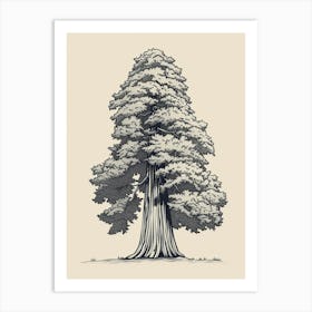 Sequoia Tree Minimalistic Drawing 4 Art Print