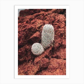 Mountain Cactus Deep In The Sonoran Art Print