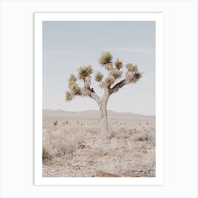 Single Desert Tree Art Print