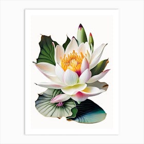 American Lotus Decoupage 3 Art Print