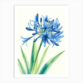 Blue Lily Art Print