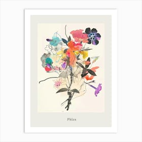 Phlox 4 Collage Flower Bouquet Poster Art Print