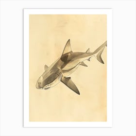 Cookiecutter Shark Vintage Illustration 8 Art Print