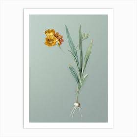 Vintage Ixia Miniata Botanical Art on Mint Green n.0805 Art Print