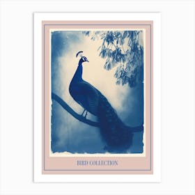 Peacock In The Tree Cyanotype Inspired 4 Poster Art Print