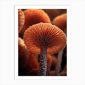 Mushroom Photography 10 Art Print