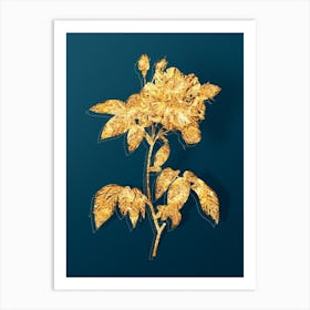 Vintage French Rosebush with Variegated Flowers Botanical in Gold on Teal Blue n.0340 Art Print