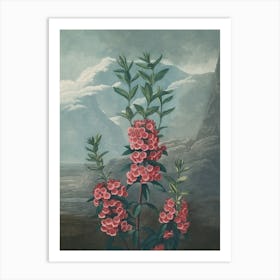 Lilacs Art Print