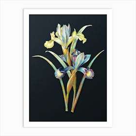 Vintage Spanish Iris Botanical Watercolor Illustration on Dark Teal Blue n.0173 Art Print