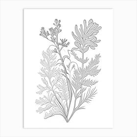 Astragalus Herb William Morris Inspired Line Drawing 3 Art Print