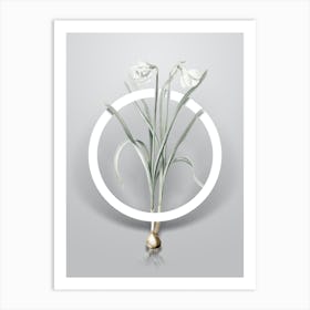 Vintage Narcissus Candidissimus Minimalist Botanical Geometric Circle on Soft Gray n.0154 Art Print