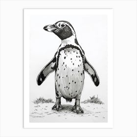 African Penguin Staring Curiously 3 Art Print