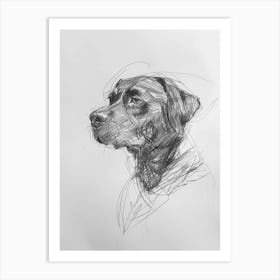 Rottweiler Dog Charcoal Line 1 Art Print