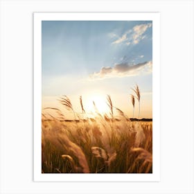 Sunset In A Field Art Print