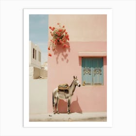 donkey in the island Art Print