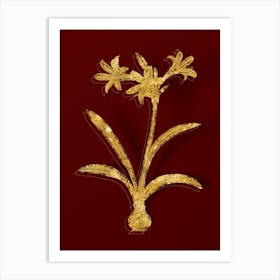 Vintage Amaryllis Botanical in Gold on Red n.0454 Art Print