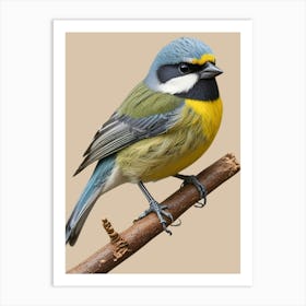 The Tit On A Branch Art Print