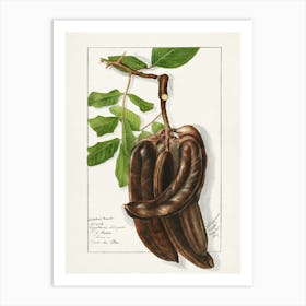 Bananas On A Branch Art Print