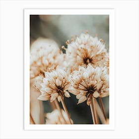 Neutral flowers cottagecore Art Print