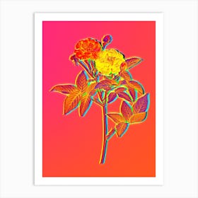 Neon Van Eeden Rose Botanical in Hot Pink and Electric Blue n.0061 Art Print