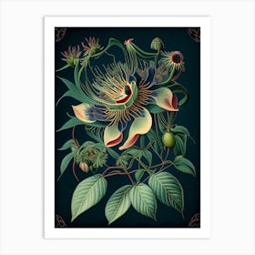 Passion Flower 3 Floral Botanical Vintage Poster Flower Art Print