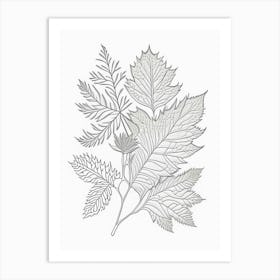 Curry Leaf Herb William Morris Inspired Line Drawing 3 Art Print